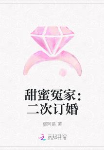 甜蜜冤家:二次订婚