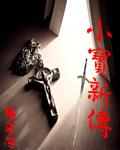 小宝新传