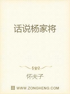 话说杨家将
