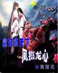 魔妃镇天下:凤摄龙心