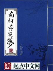 �Ͽ»�����