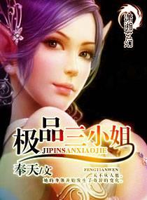极品三小姐