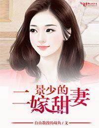 景少的二嫁甜妻